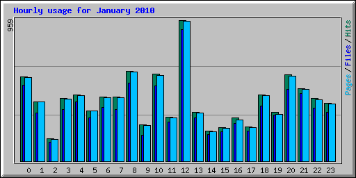 Hourly usage for January 2010